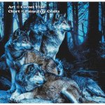 (image for) Forest Wolves